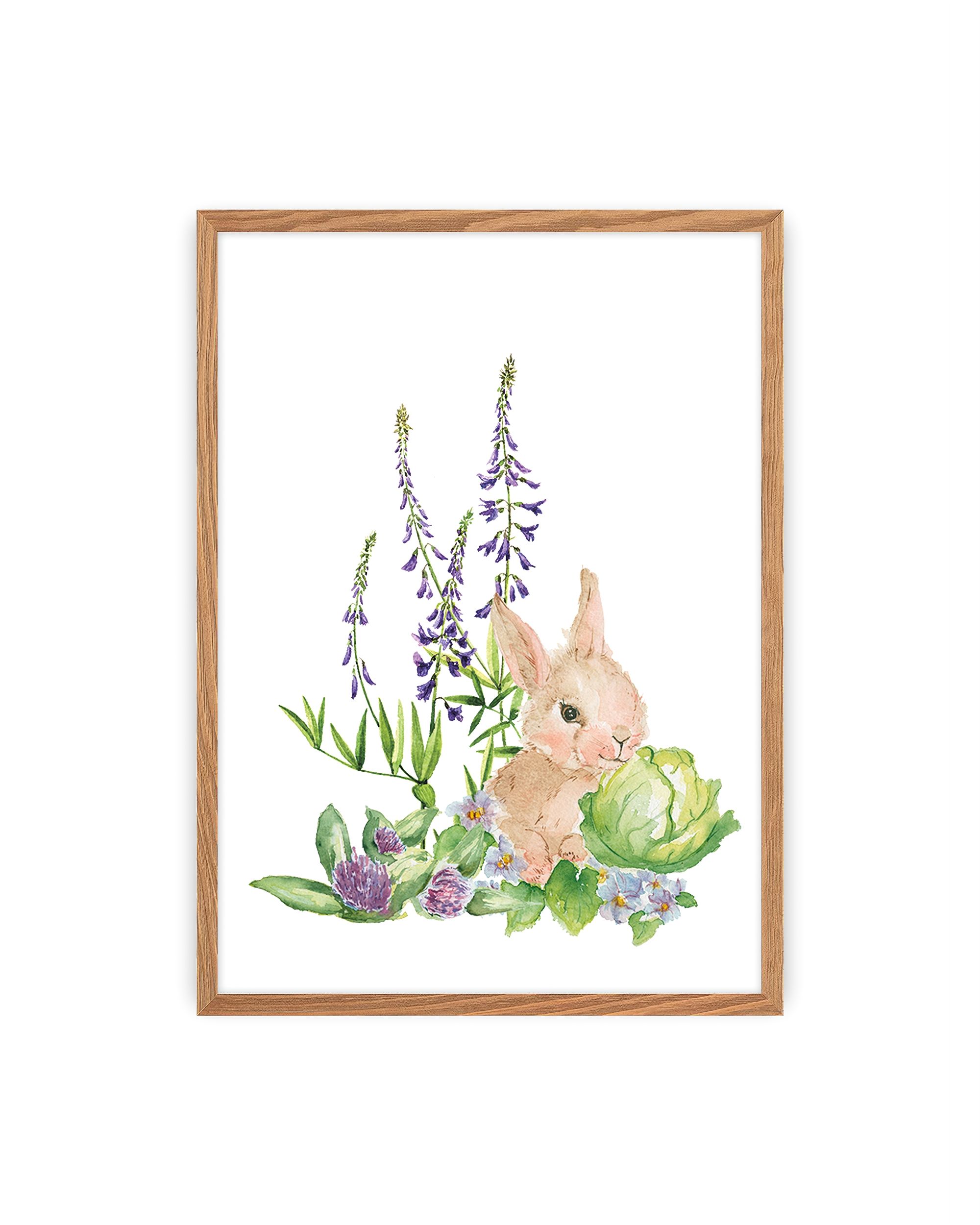 Image Forest Story Hare