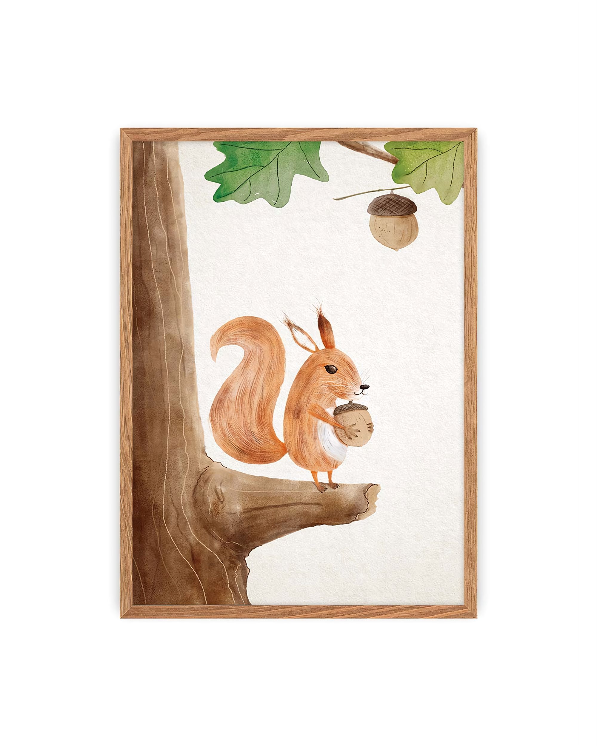 Image Forest Story Squirrel