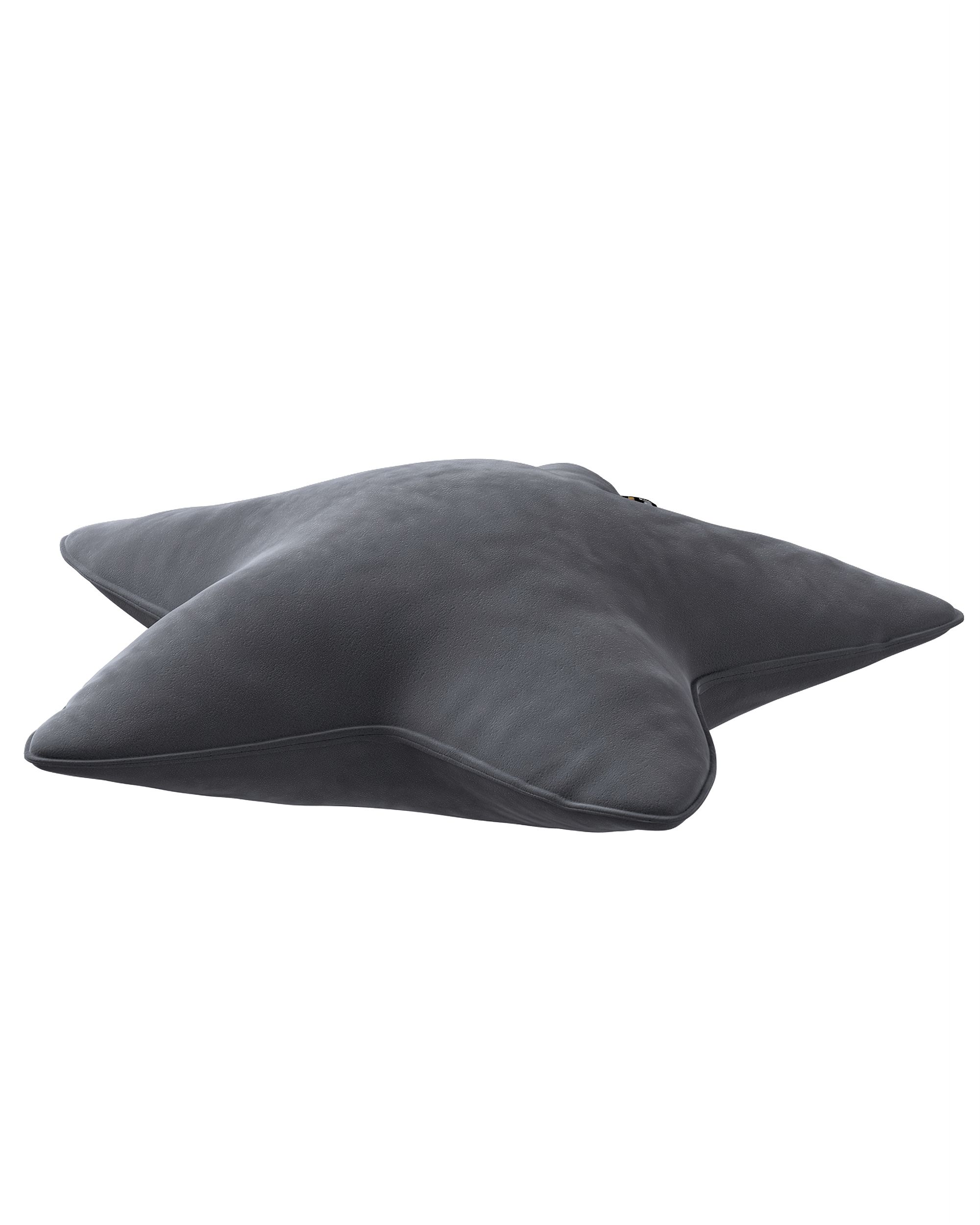 Coussin Lucky Star couleur gris tissu brillant, velours (hover)
