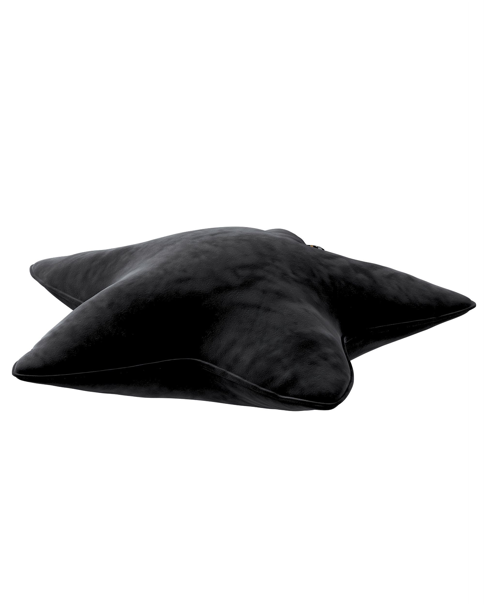 Coussin Lucky Star couleur noir tissu brillant, velours (hover)