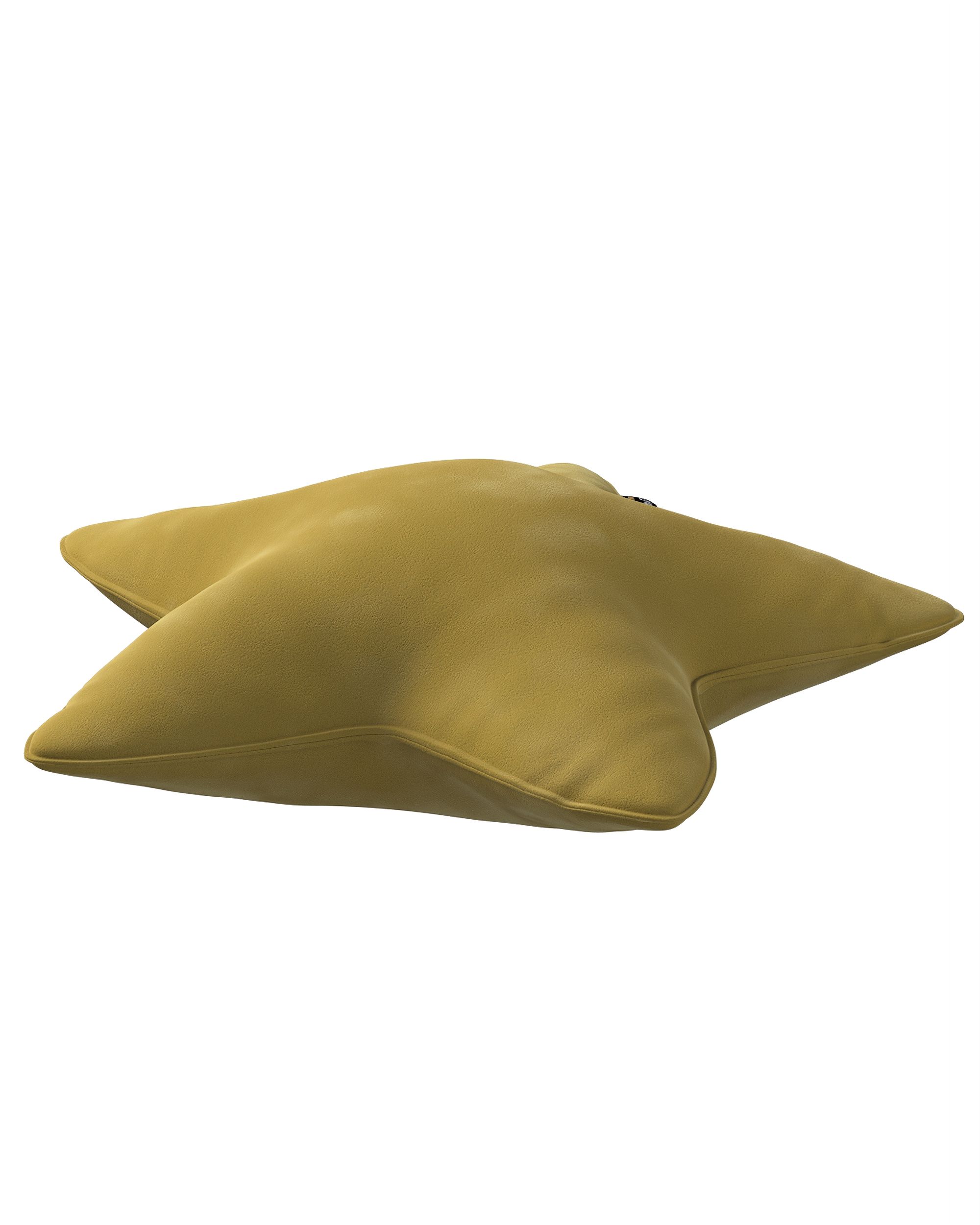 Coussin Lucky Star couleur vert tissu brillant, velours (hover)
