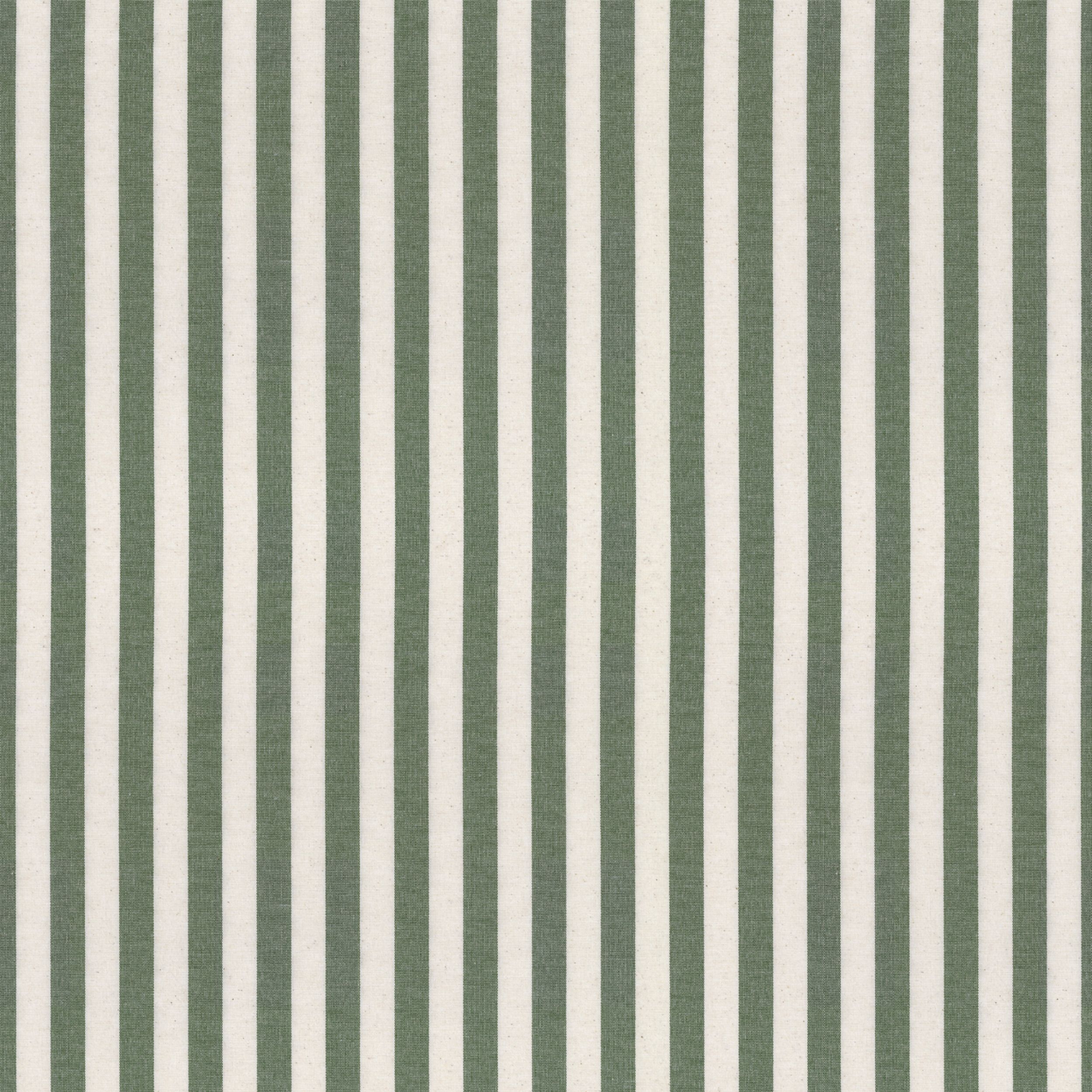 Stripes 144-35 rayures vert et blanc (1,5 cm)