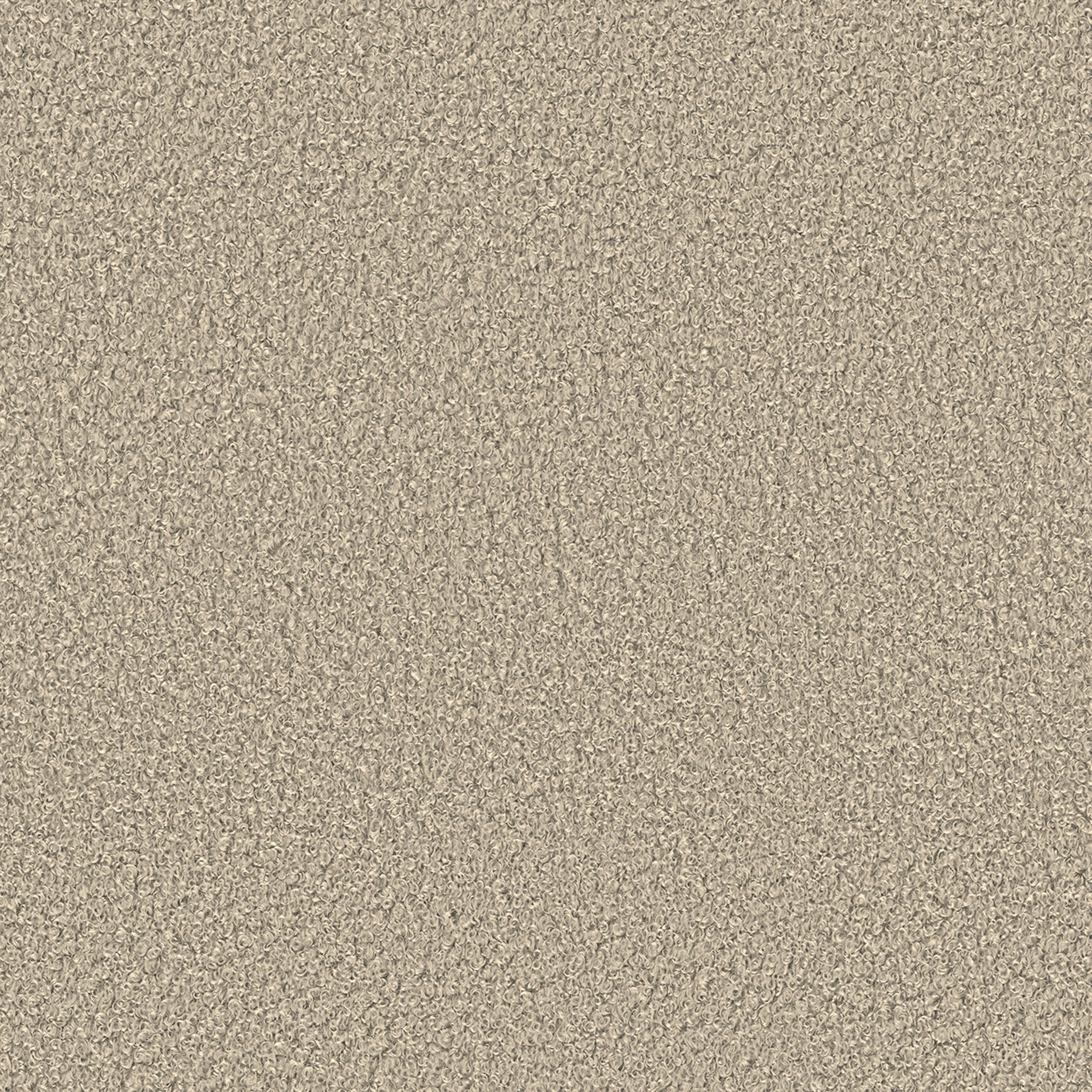 Boucle 702-81 beige clair